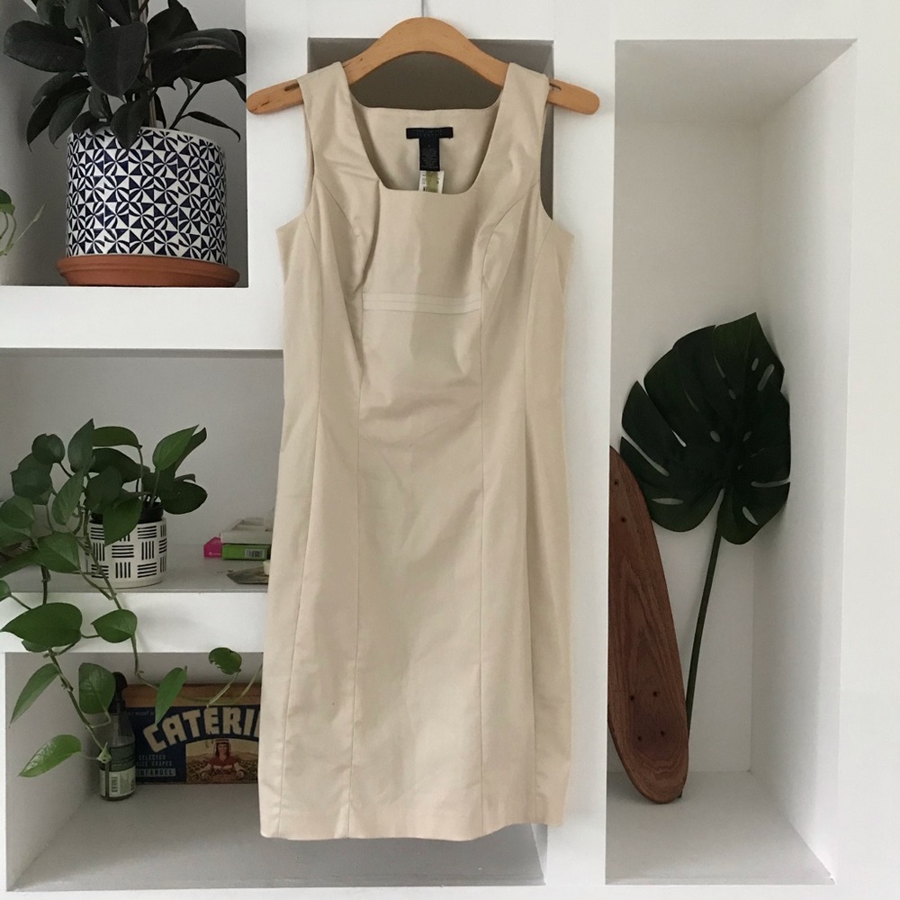 The Limited Dress ✨ New with Tags